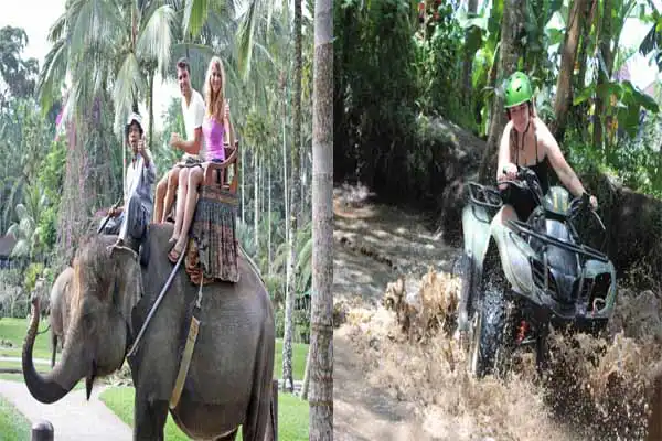 elephant ride atv tour